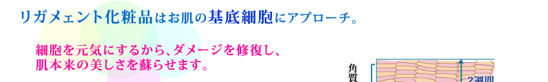 KFgϕi͂̊זEɃAv[`B
זECɂ邩A_[WCA
{̔h点܂B