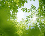 p_news080325.gif