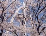 p_news080407.gif